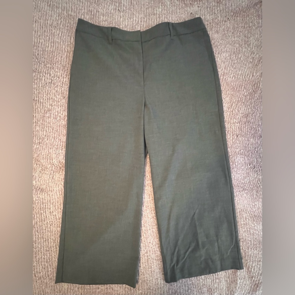 NWT Ann Taylor Factory Cropped Dress Pants